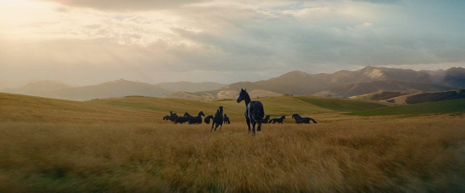 ركوب الخيل وفوائده الصحية العجيبة